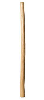 Medium Size Natural Finish Didgeridoo (TW1273)
